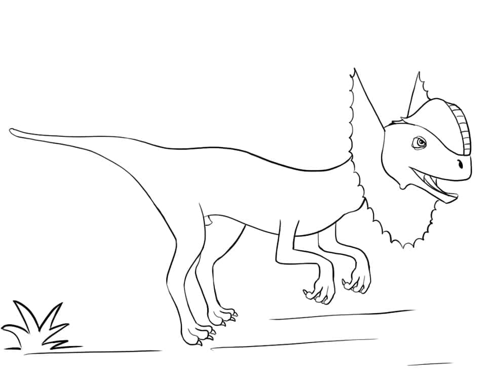 Desenho De Dilofossauro Para crianças De 4 Ano Para Colorir