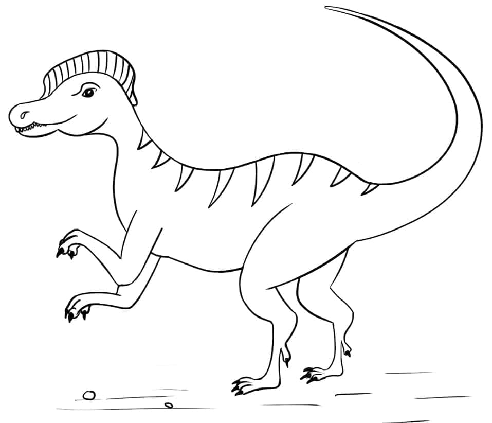 Desenho De Um Dilofossauro fácil Para Colorir