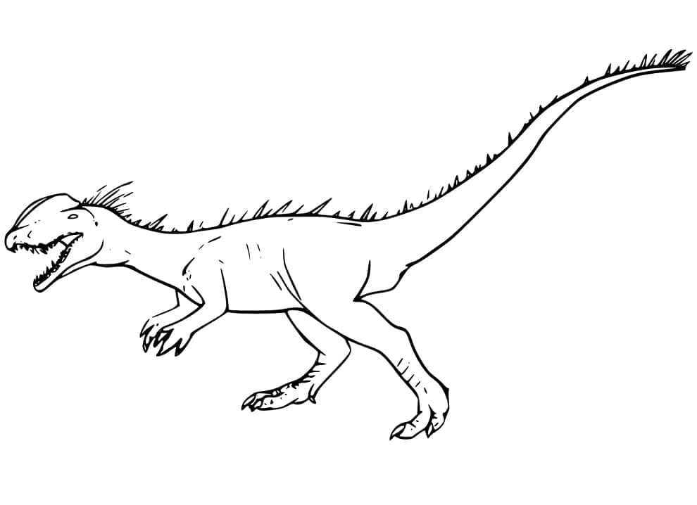 Desenho De Um Dinossauro Dilofossauro Para Colorir