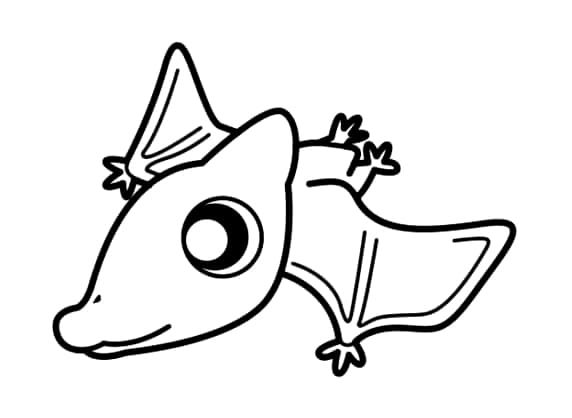 Desenho De bebê pterodáctilo Para Colorir