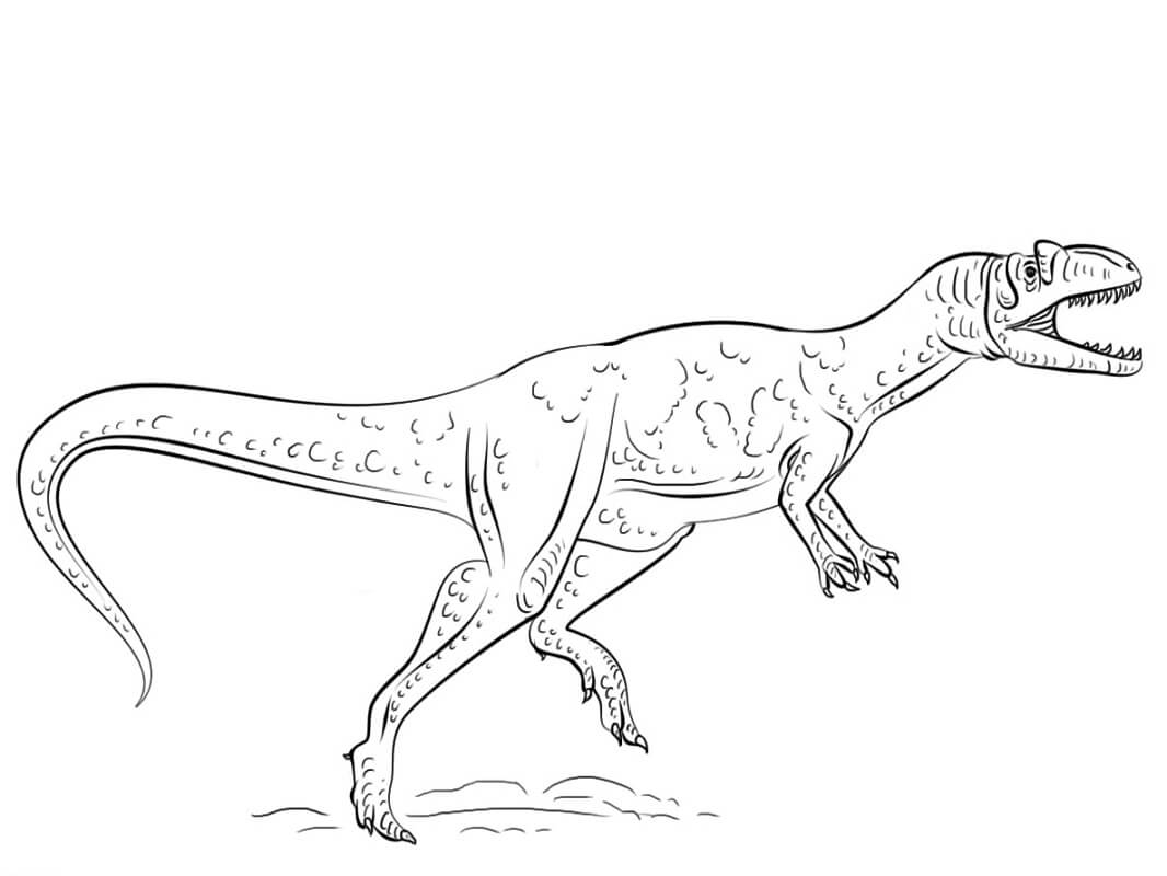 Desenho Allosaurus Para Colorir