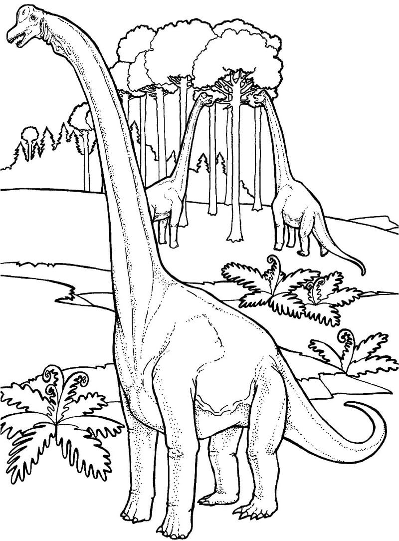Desenho Brachiosaurus Para Colorir