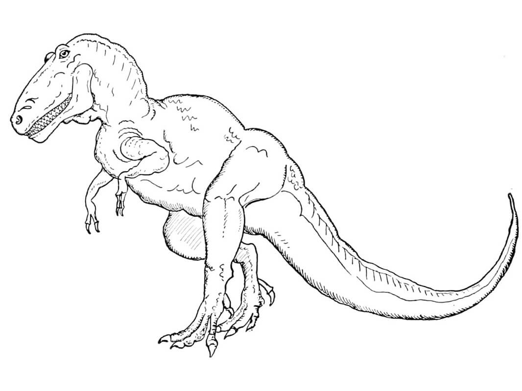 Desenho Tiranossauro Rex Para Colorir