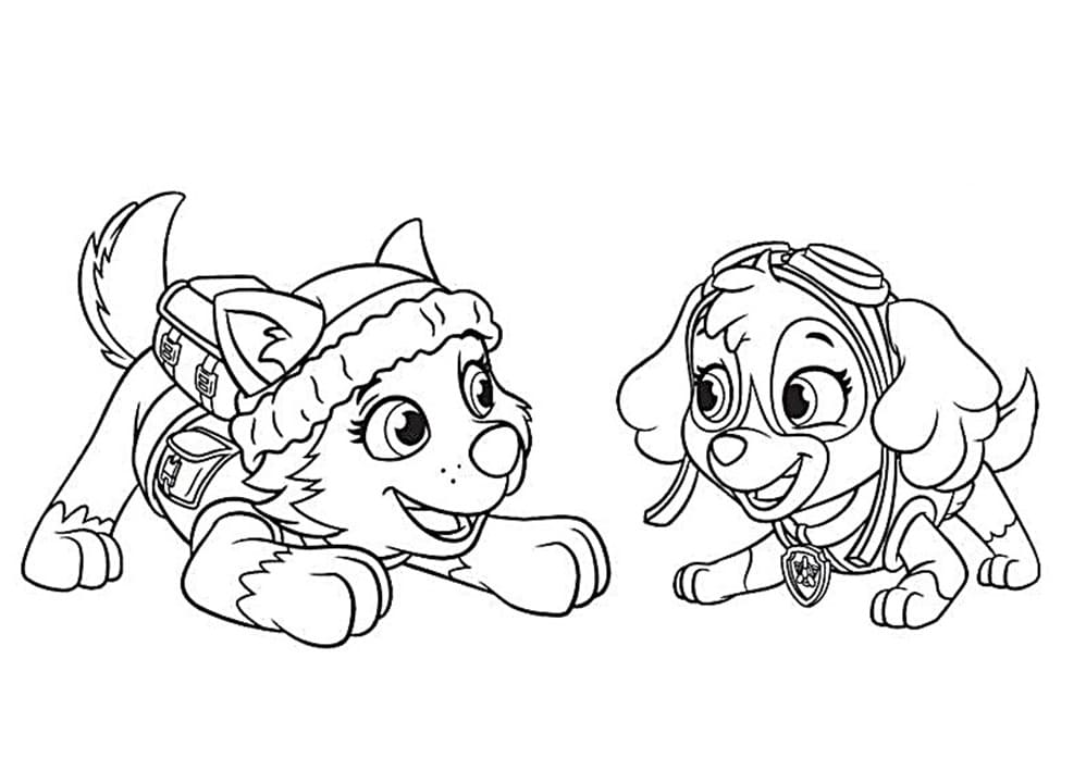 Desenho De Everest e Skye Para Colorir