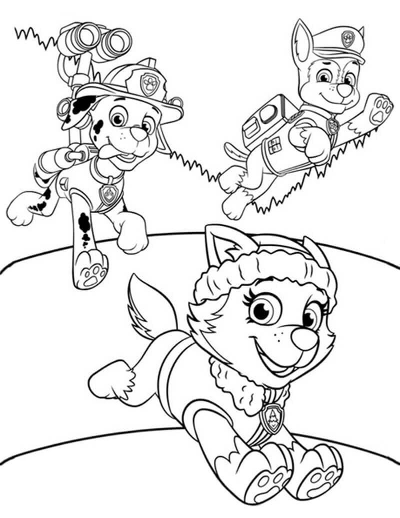 Desenho De Everest Marshall e Chase Para Colorir