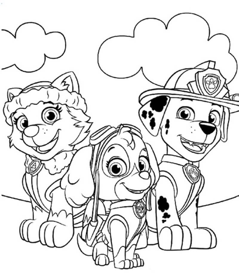 Desenho De Everest Skye e Marshall Para Colorir