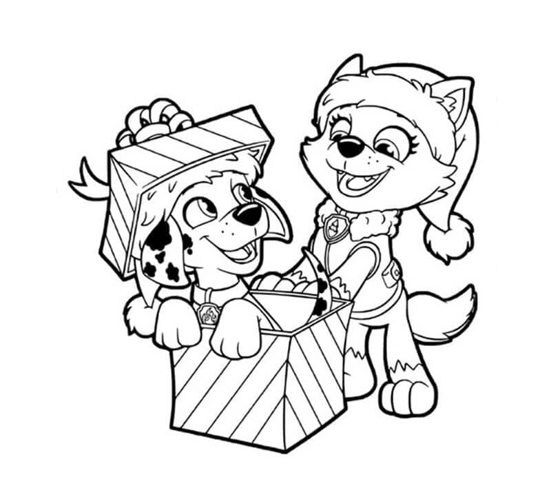 Desenho De Marshall e Everest Para Colorir
