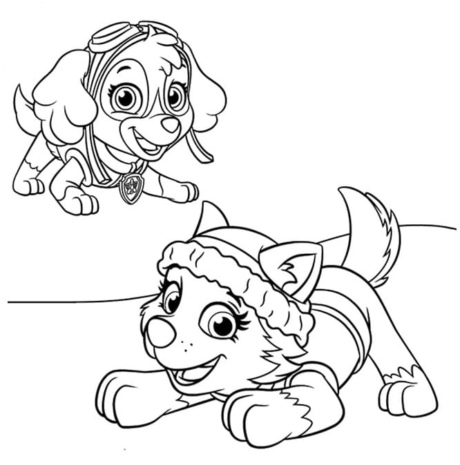 Everest Patrulha Canina para Colorir