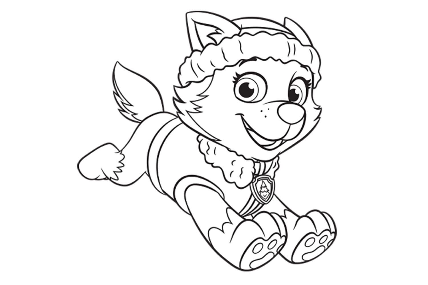 Desenho Everest De patrulhá Canina Para Colorir
