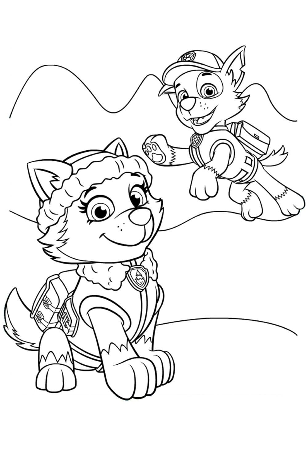 Desenho Everest e Rocky Para Colorir