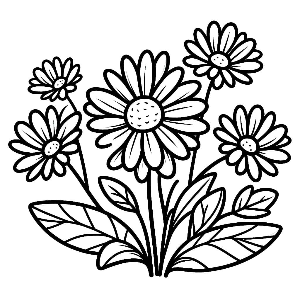 Flor Margarida para Colorir