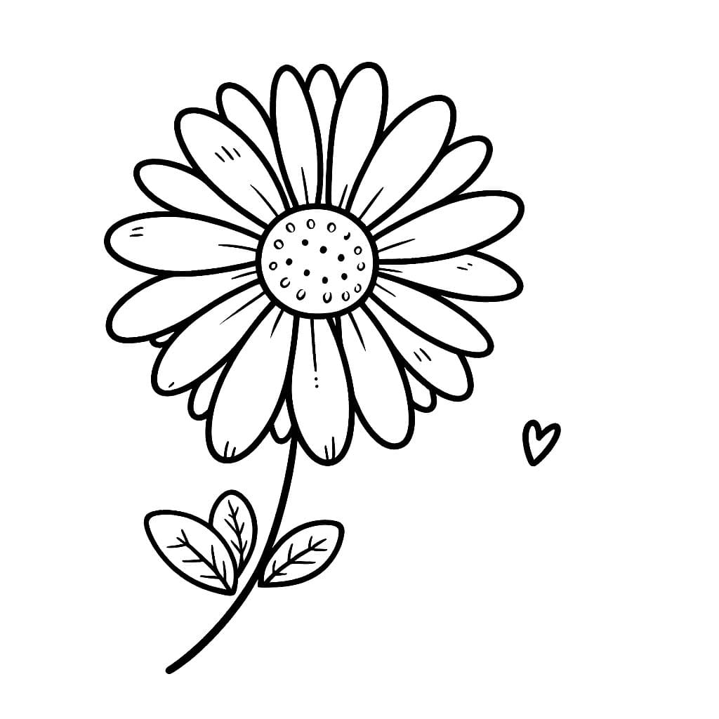 Desenho De Margarida e Pequeno coração Para Colorir