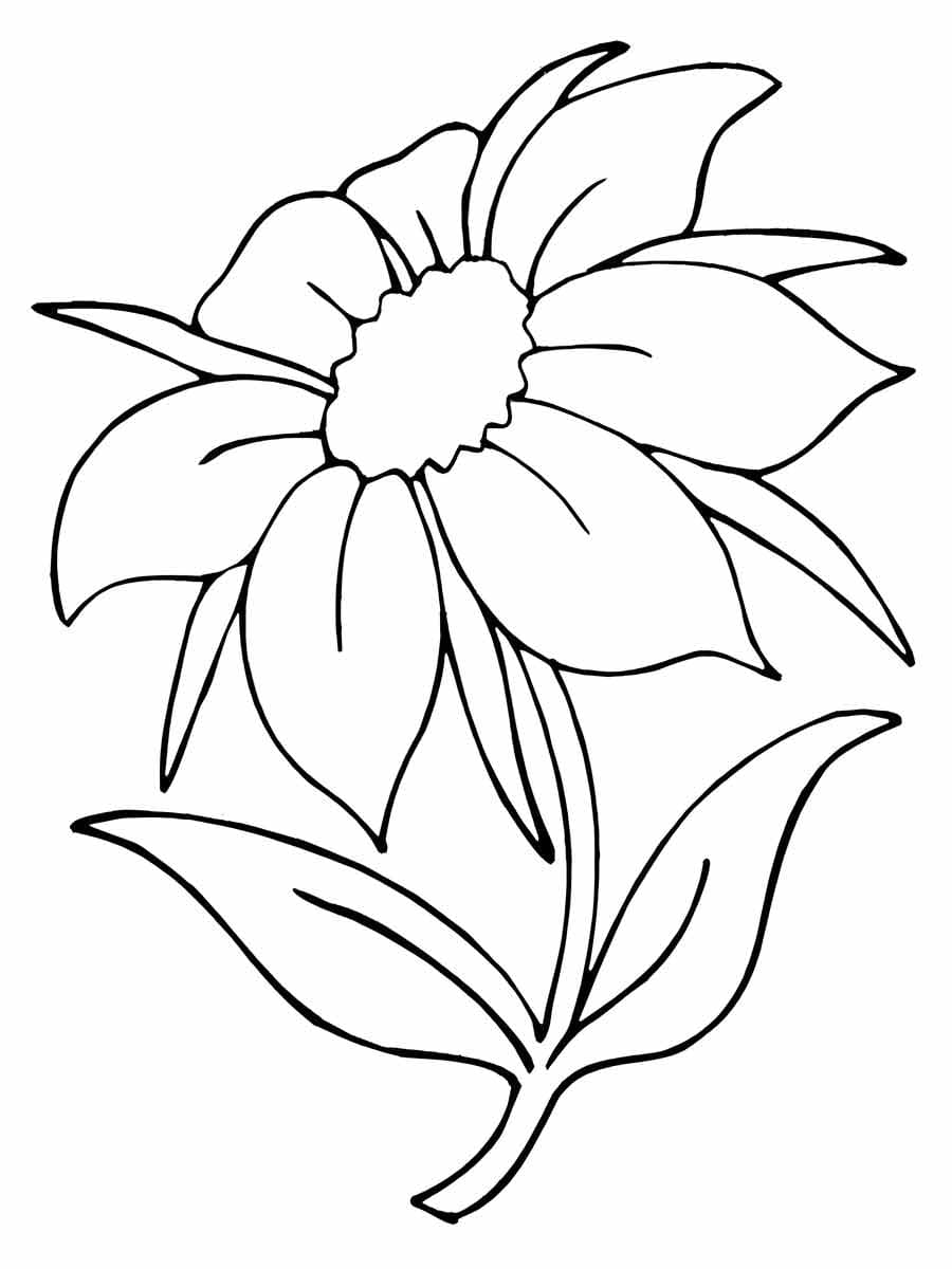 Desenho De Flor Muito Bonita Para Colorir