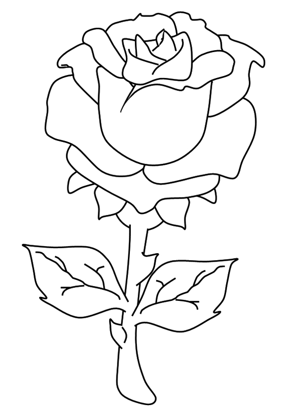 Desenho De Linda Flor De Rosa Para Colorir