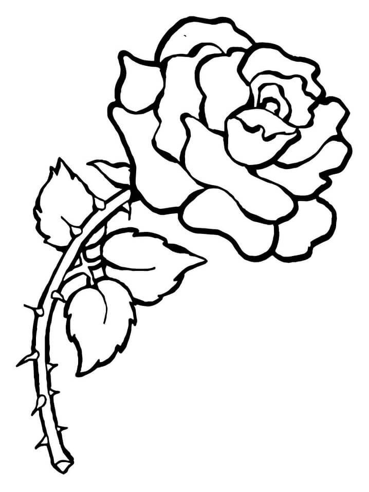 Desenho Rosa Com Espinhos Para Colorir