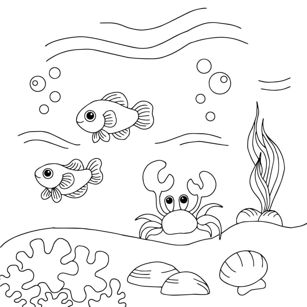 Desenho De Fundo Do Mar Para crianças De 3 Anos Para Colorir