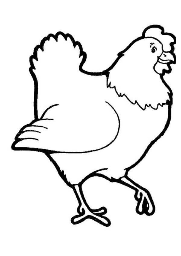 Desenho De Galinha Dos Desenhos Animados Para Colorir