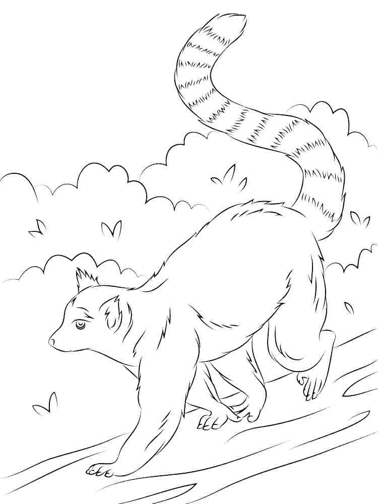 Desenho De Imagem Do Lemure Para Colorir