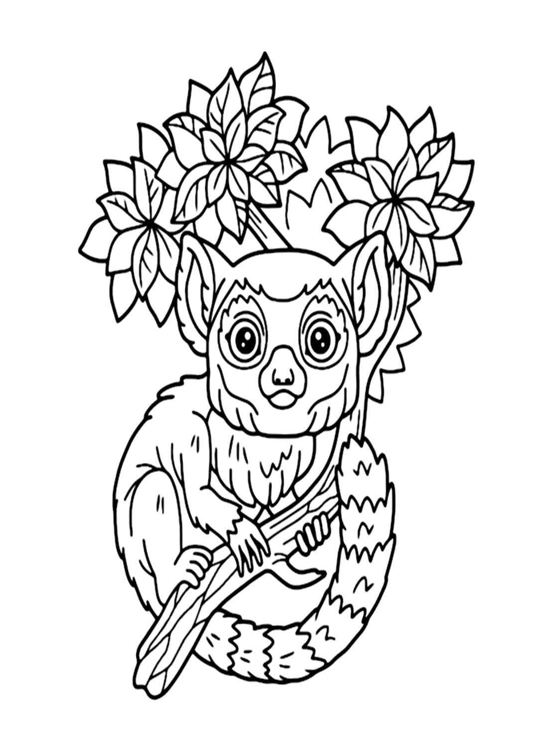 Desenho De Lemure Bonitinho Para Colorir