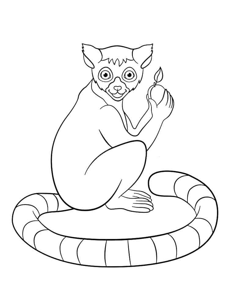 Desenho De Lemure e Uma Fruta Para Colorir