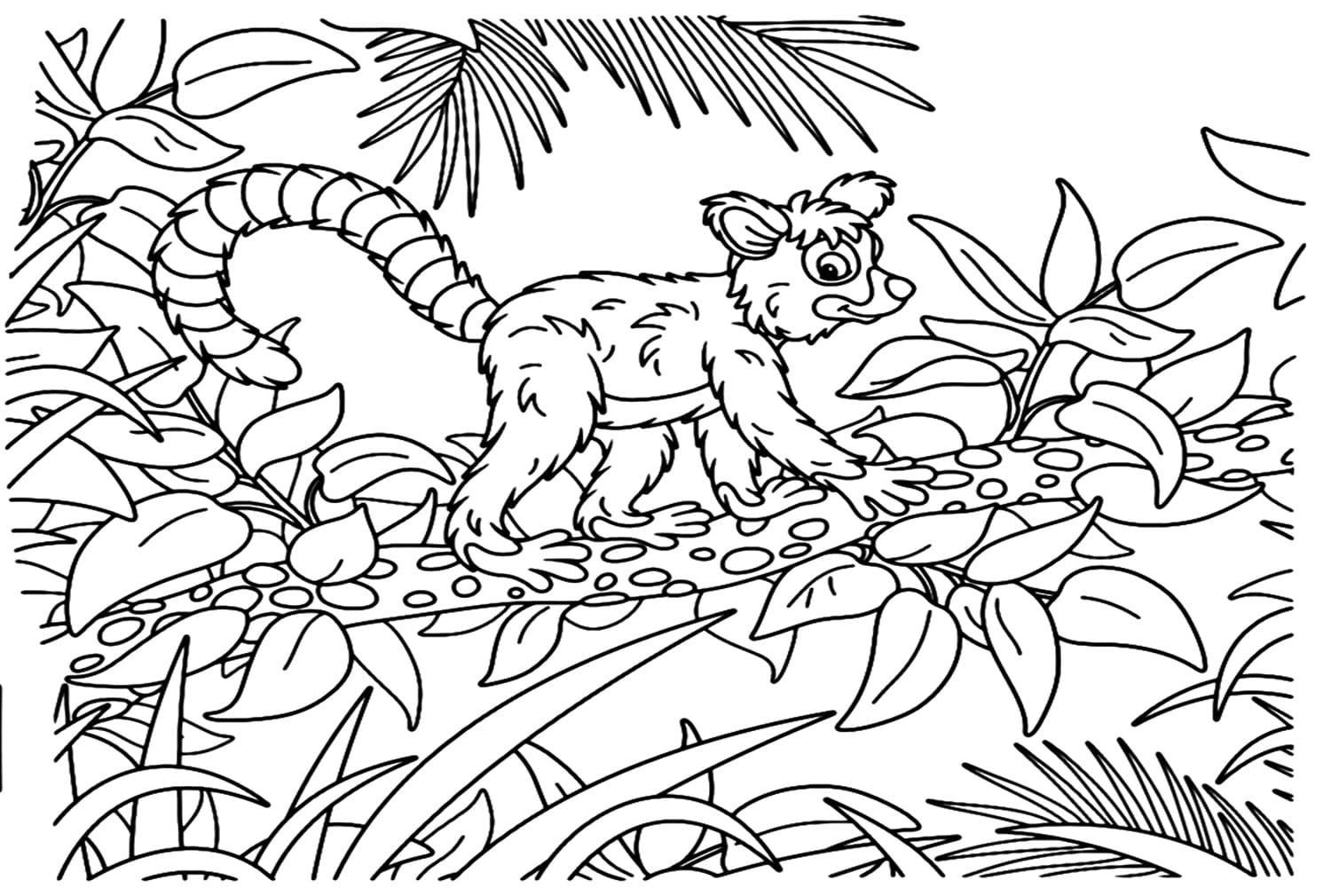 Desenho De Lindo Lemure Para Colorir