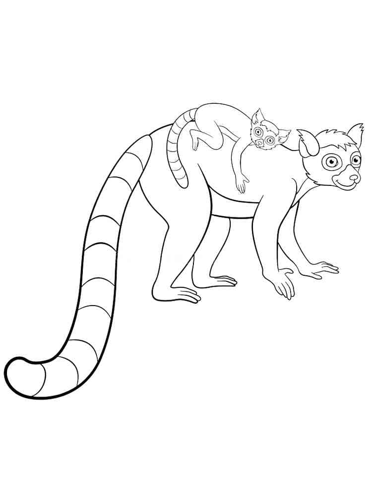 Lêmure para Colorir