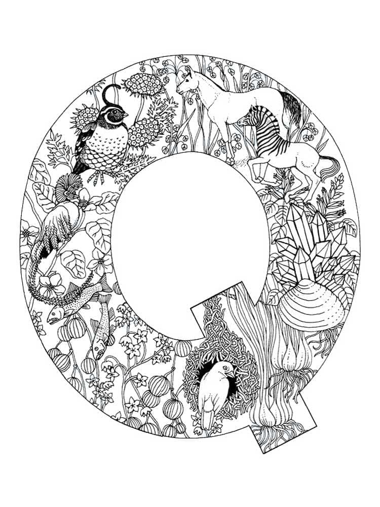 Desenho De Linda Letra Q Para Colorir