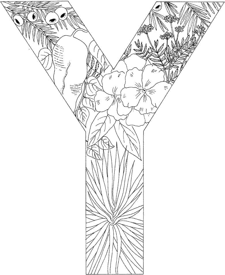 Letra Y para Colorir