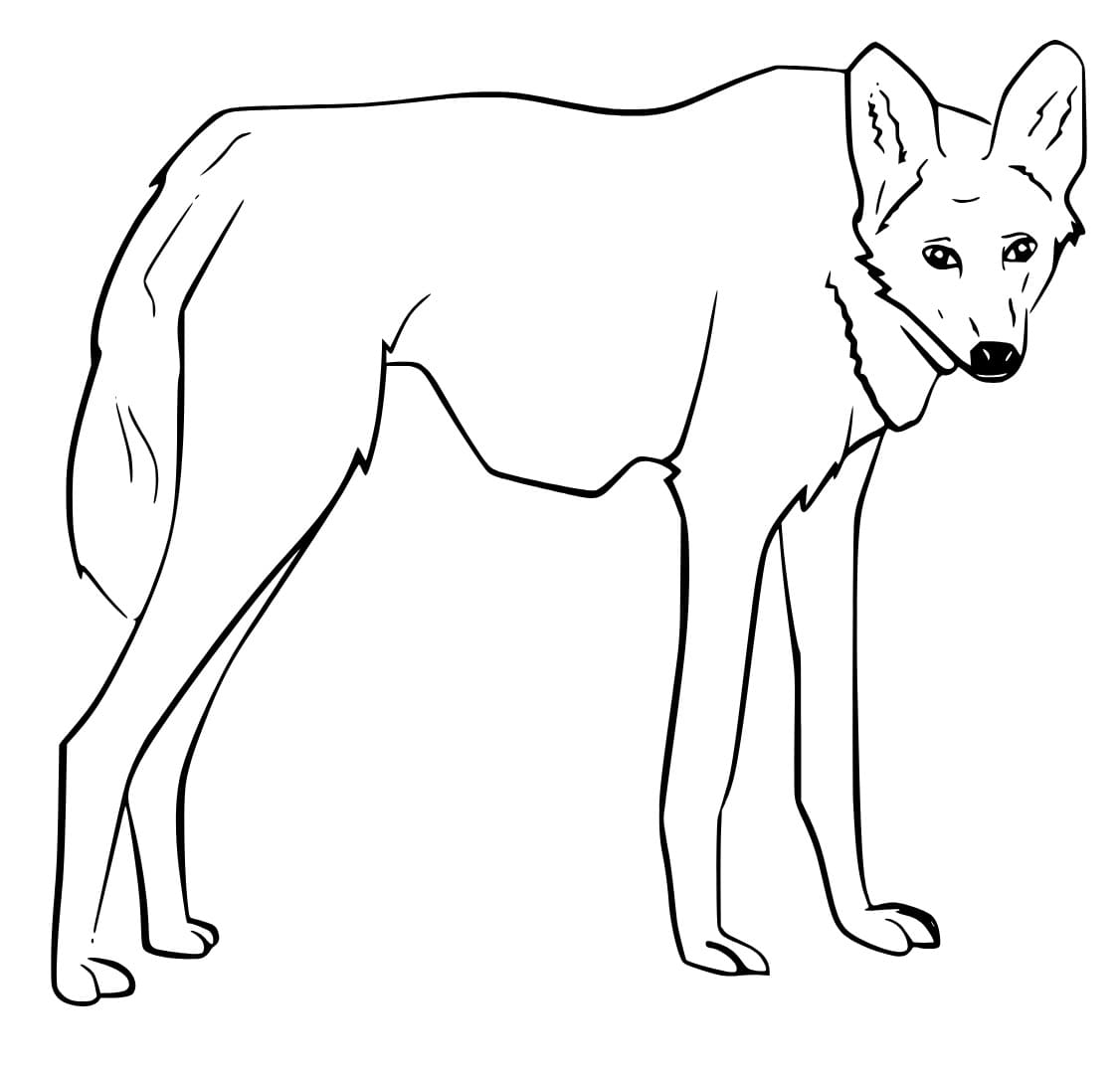 Lobo-guará para Colorir