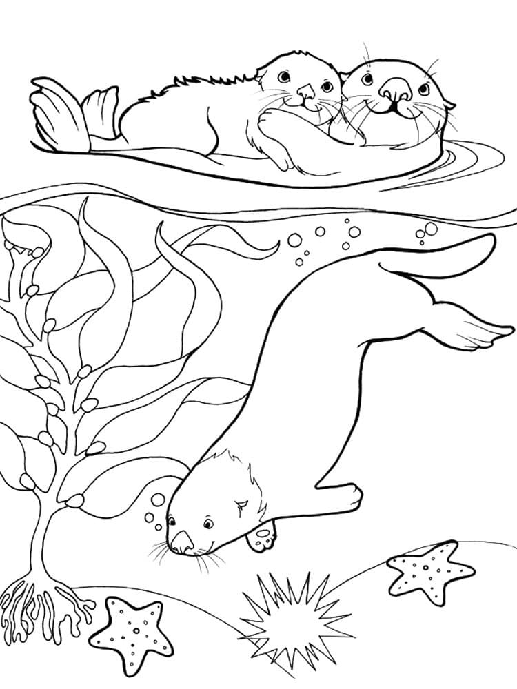 Desenho De família Lontra Para Colorir