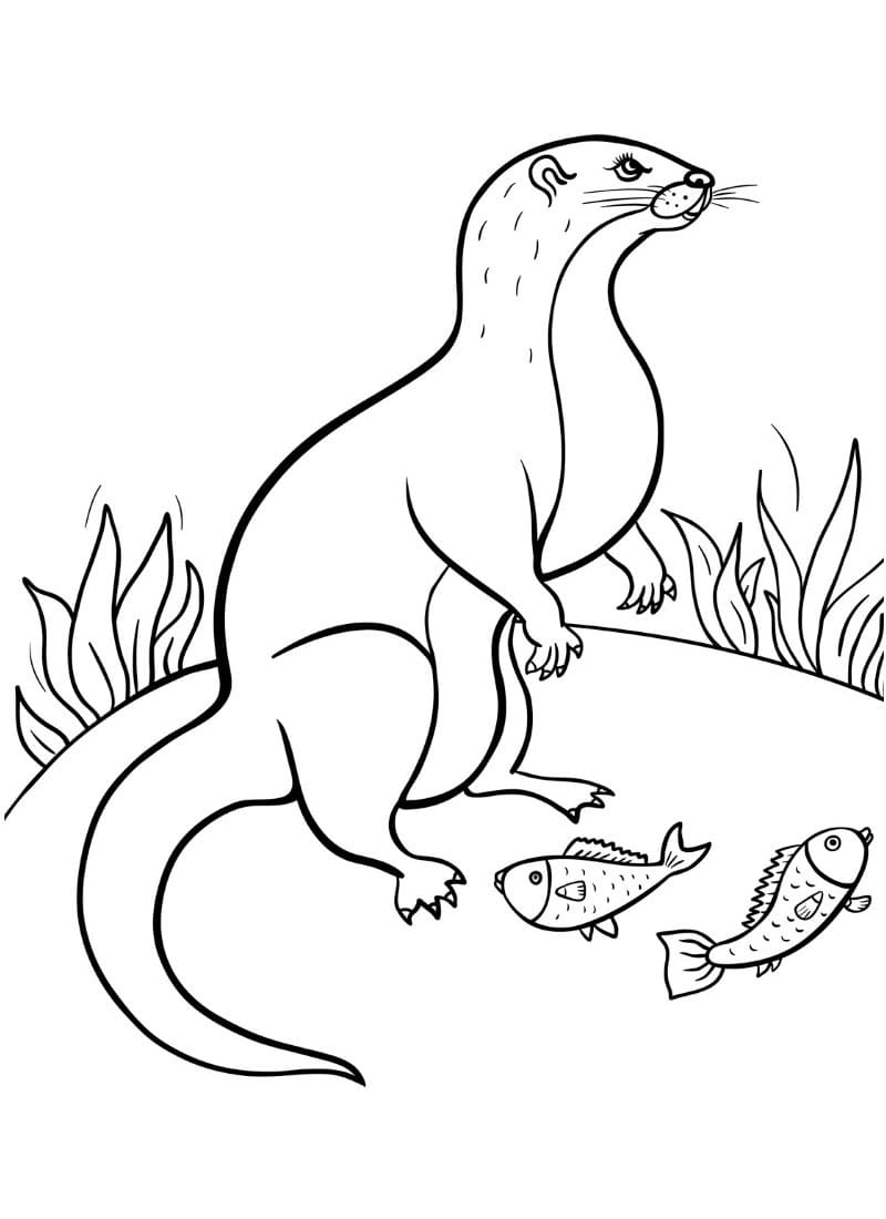 Desenho De Lontra e Peixes Para Colorir