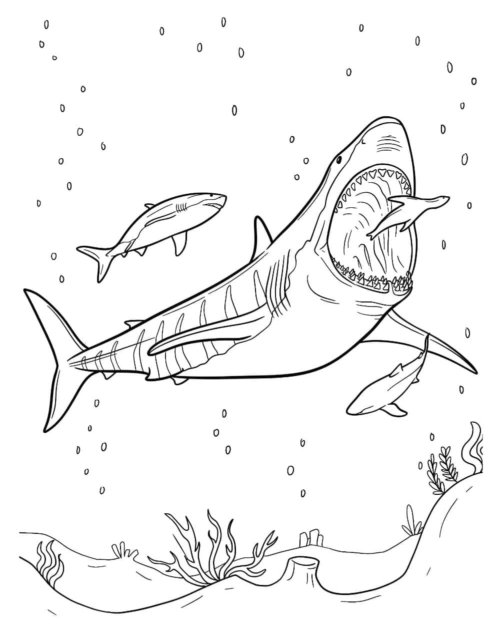 Desenho De Foto De Megalodon Para Colorir