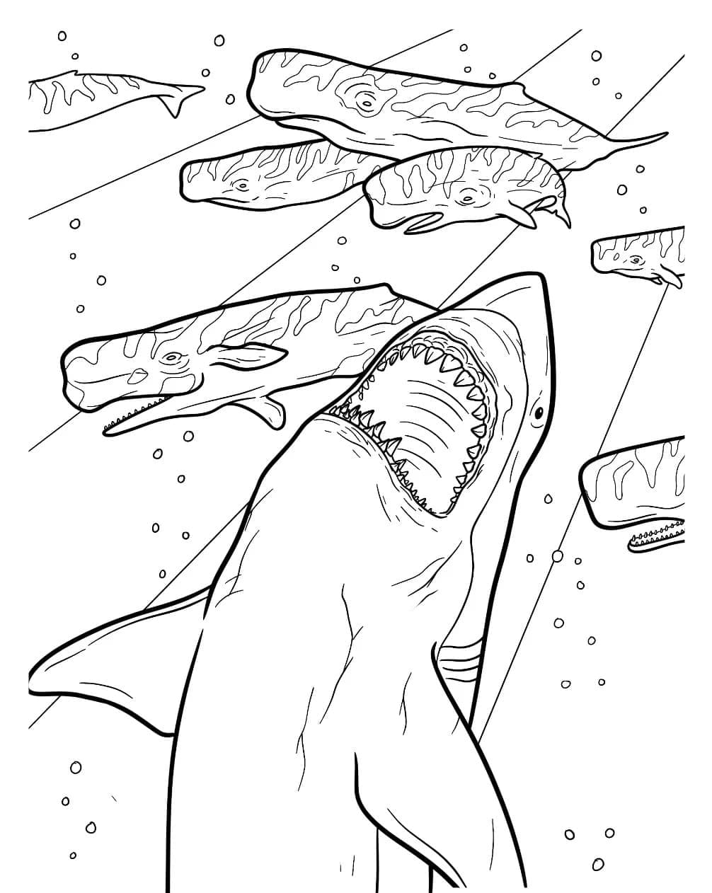 Desenho De Megalodon Imprimivel grátis Para Colorir