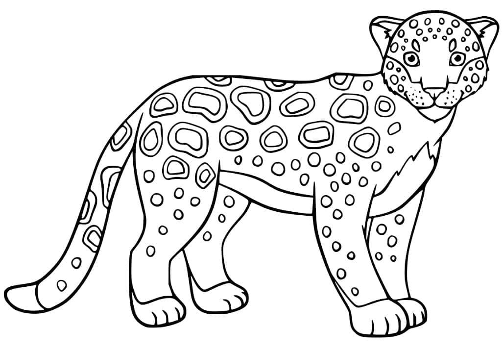 Desenho De adorável onça Para Colorir