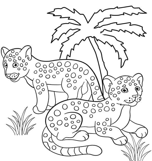 Desenho De Duas onças Para Colorir