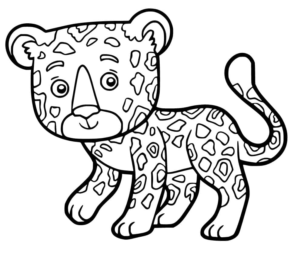 Desenho De Filhote De onça Para Colorir
