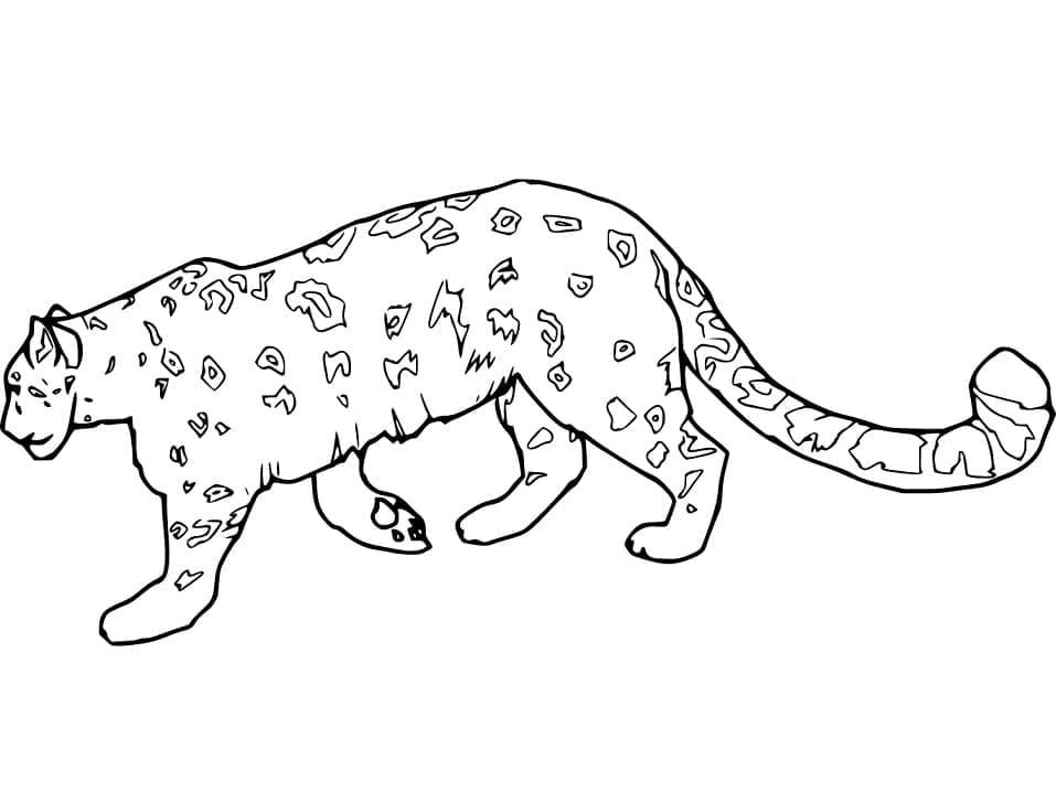 Desenho De Imprimivel onça Para Colorir
