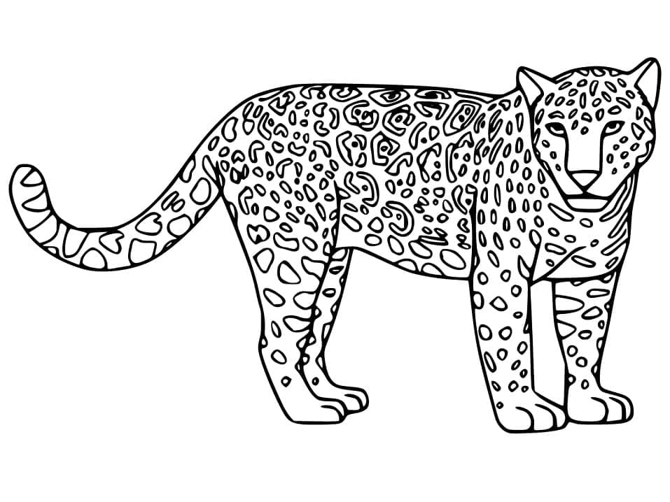 Desenho De onça Para crianças Para Colorir