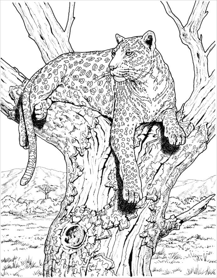 Desenho De onça Realista Para Colorir