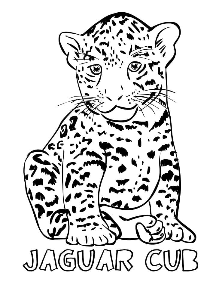 Desenho De Pequena onça Fofa Para Colorir