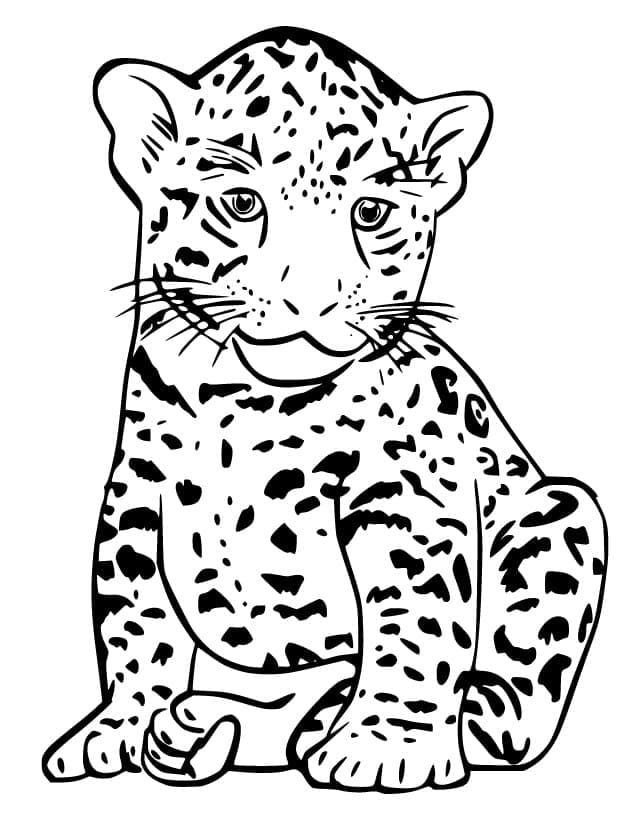 Desenho De Um Filhote De onça Para Colorir