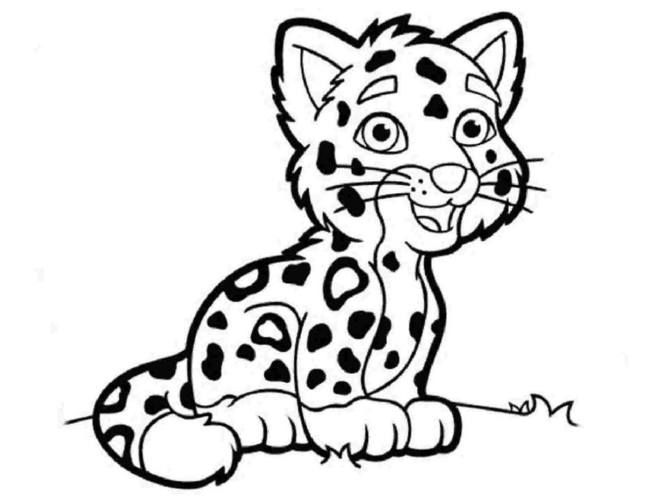 Baixar Desenho Fofo De Filhote De onça Para Colorir grátis