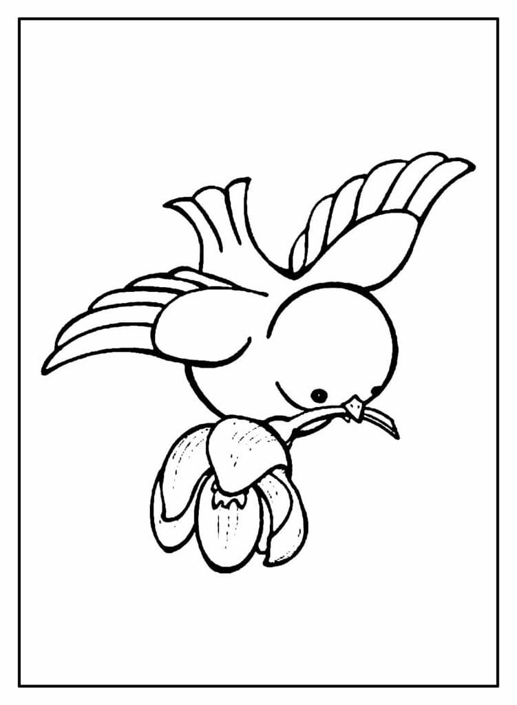 Desenho De Passarinho e Flor Para Colorir