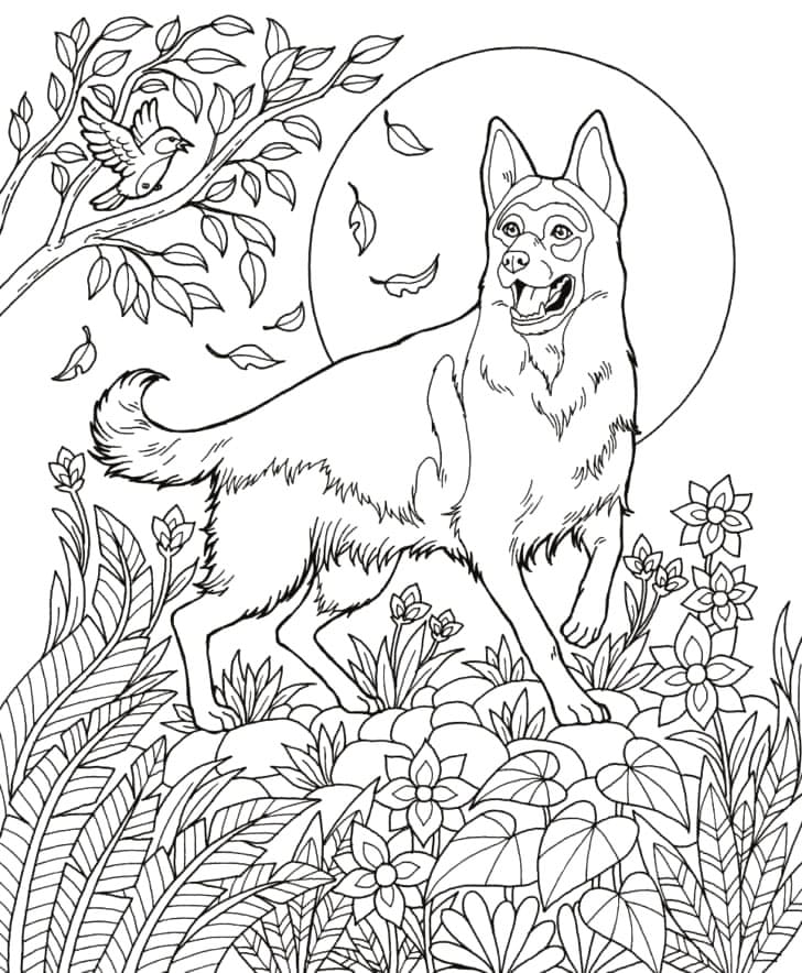 Desenho De Pastor alemão Normal Para Colorir