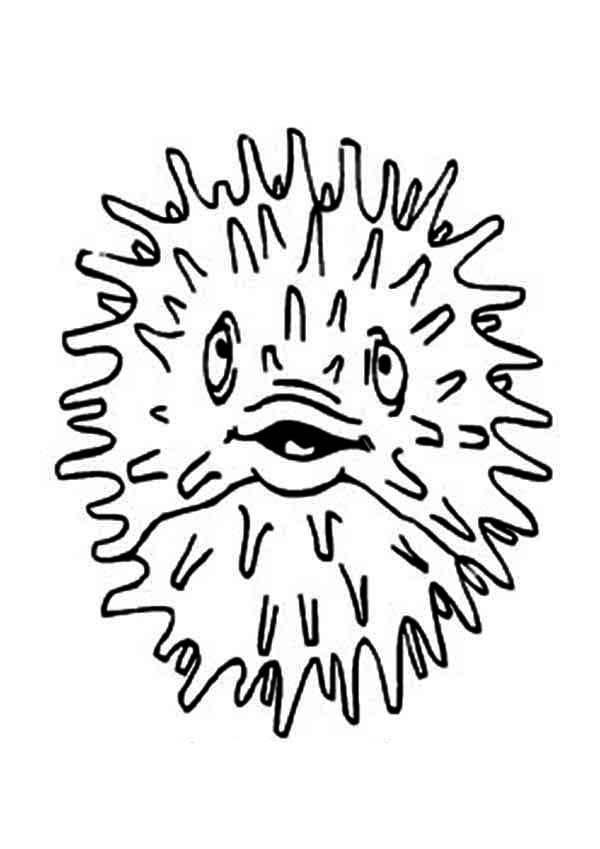 Desenho De Baiacu engraçado Para Colorir