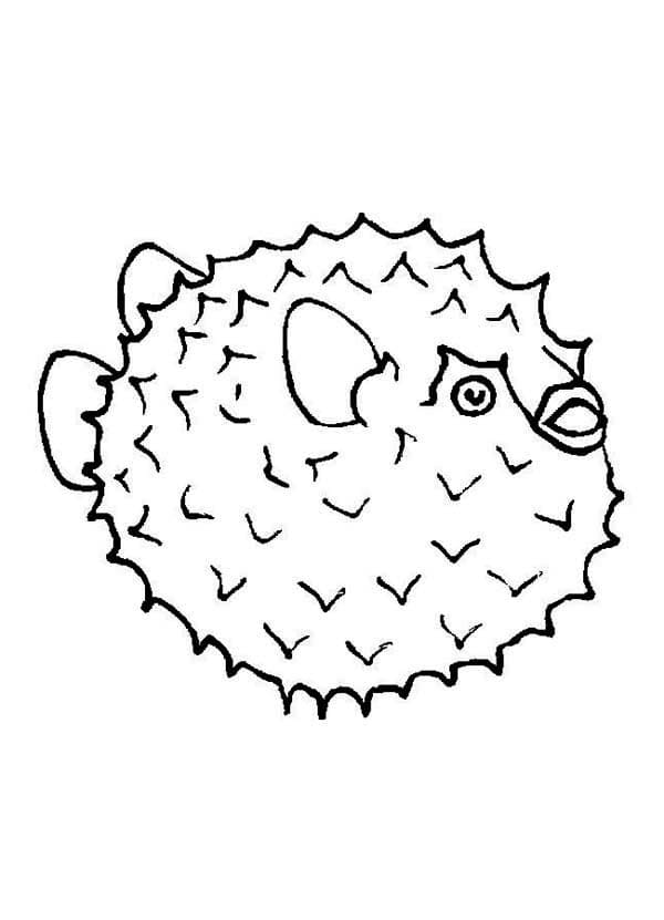Desenho De Um Baiacu Para Colorir