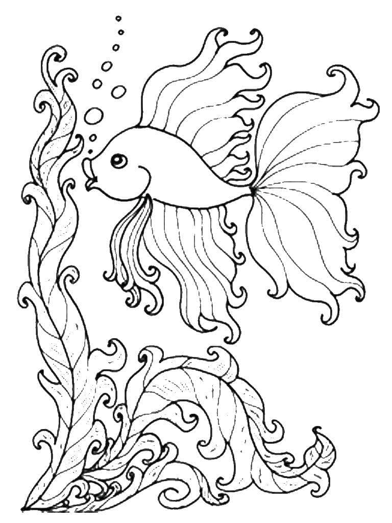 Desenho De Peixe Dourado 3 Para Colorir