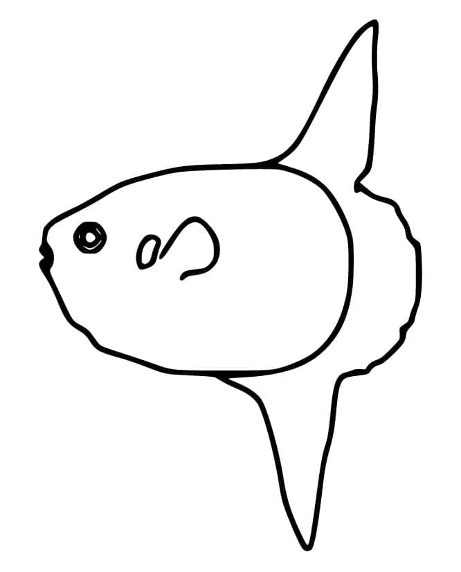 Desenho De Um Peixe Lua fácil Para Colorir