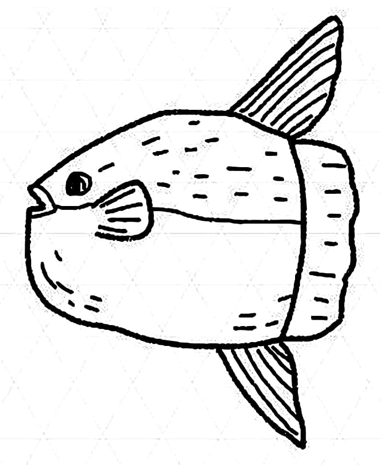 Peixe Lua para Colorir