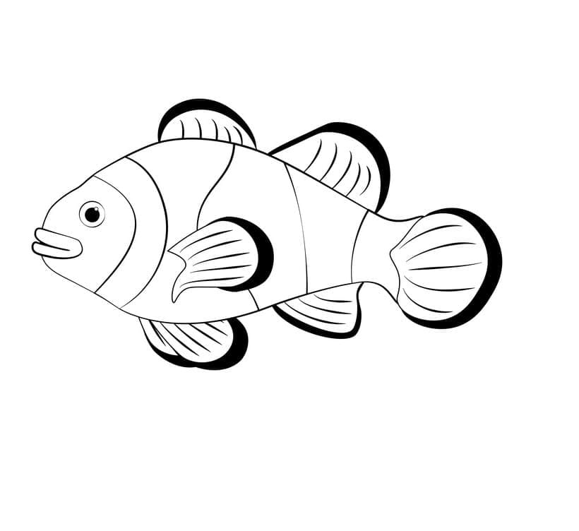 Desenho De Peixe palhaço fácil Para Colorir
